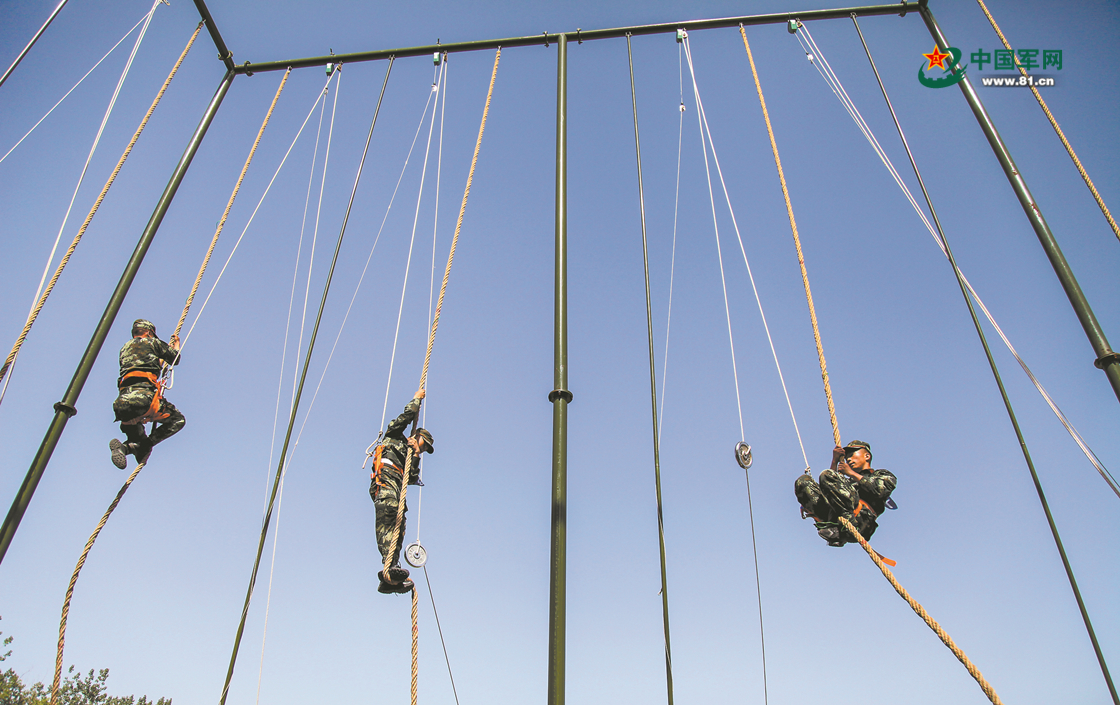 包含红黄蓝国际赛场上演激烈角逐的词条