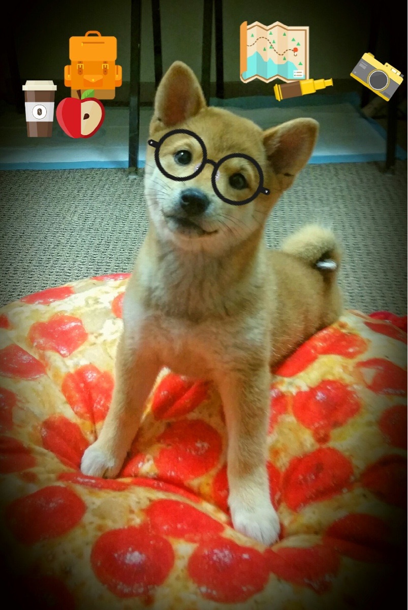 硬仗基因，从克莱的利刃到广东的冠军火焰，火箭升空般的竞技突破