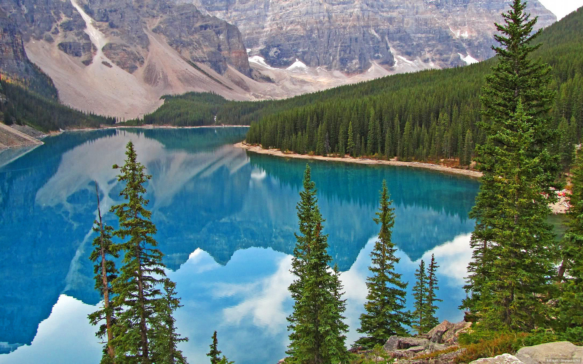 关键先生武切维奇,老鹰展翅速胜森林狼的战术密码