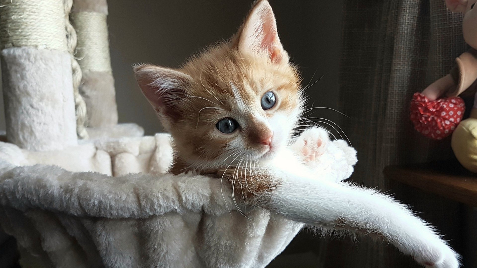 2026世界杯焦点战,伊拉克带走拜仁的足球奇迹