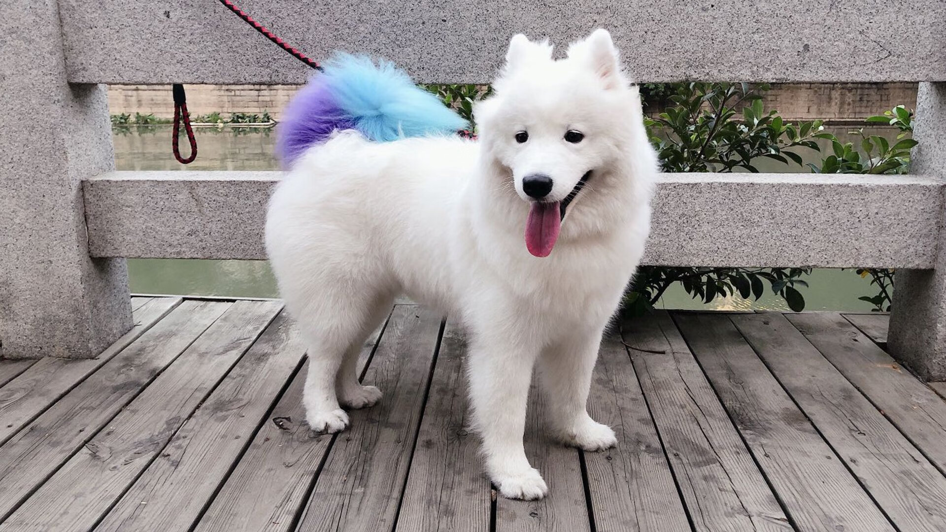 冷锋过境与帝王降临，森林狼爆冷太阳，恩比德半决赛统治记