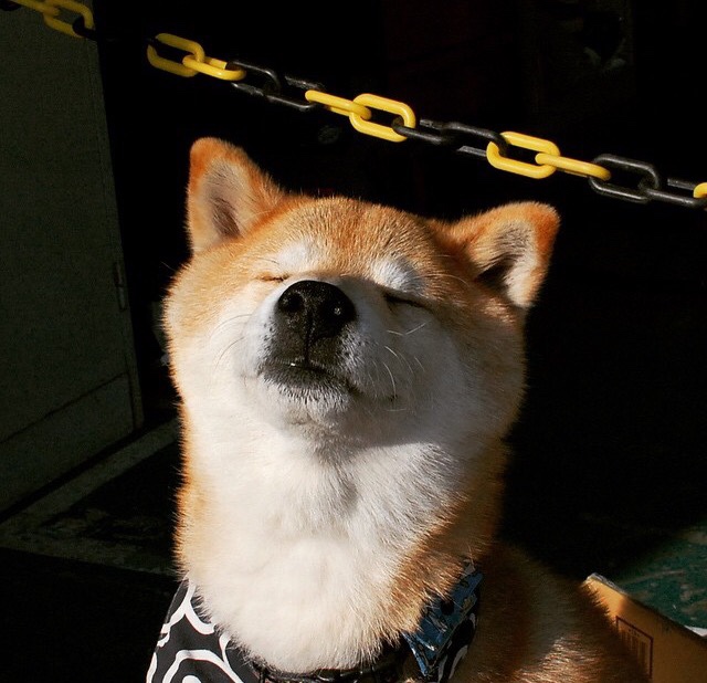 绝杀！北京队力克勇士，武切维奇终场制胜成关键先生