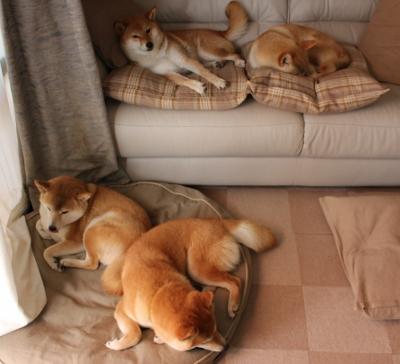 苏亚雷斯加时赛觉醒，罗马绝境逆转奥地利铁壁