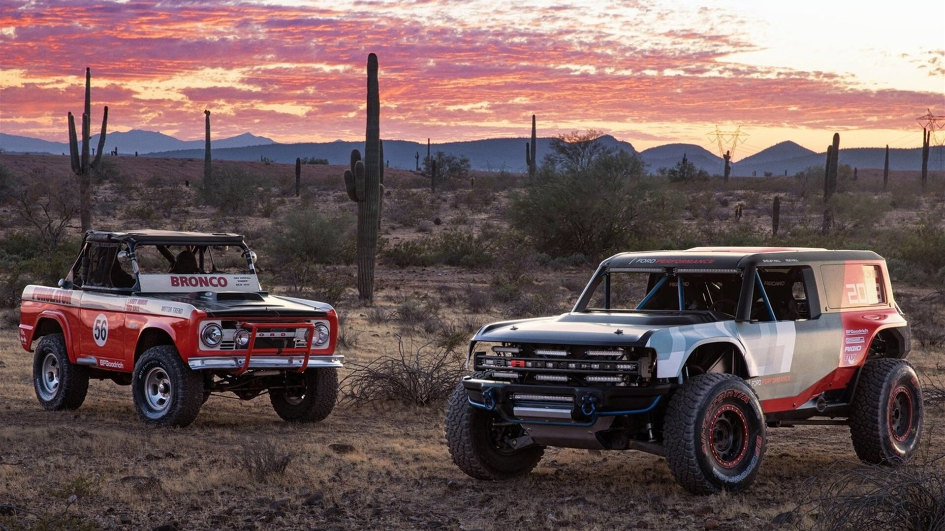 奥运周期关键战之夜，拉亚的表演何以成为教科书