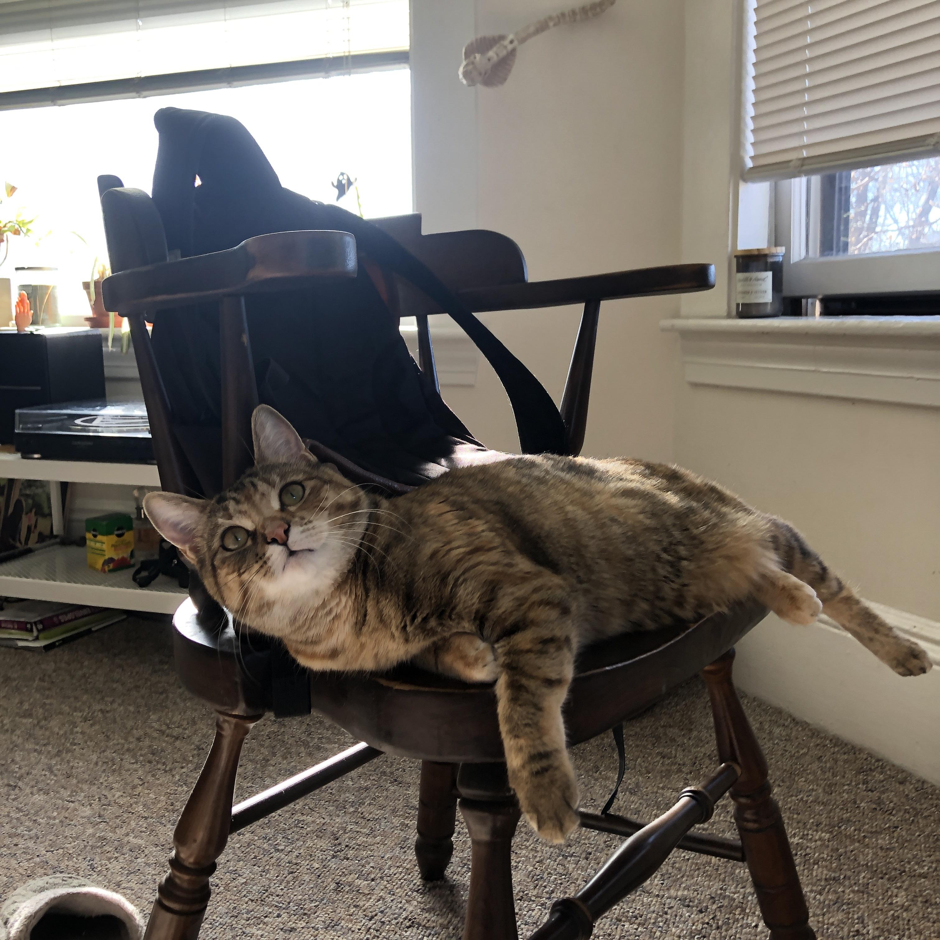 英格拉姆关键时刻闪耀，掘金绝地反击险胜开拓者