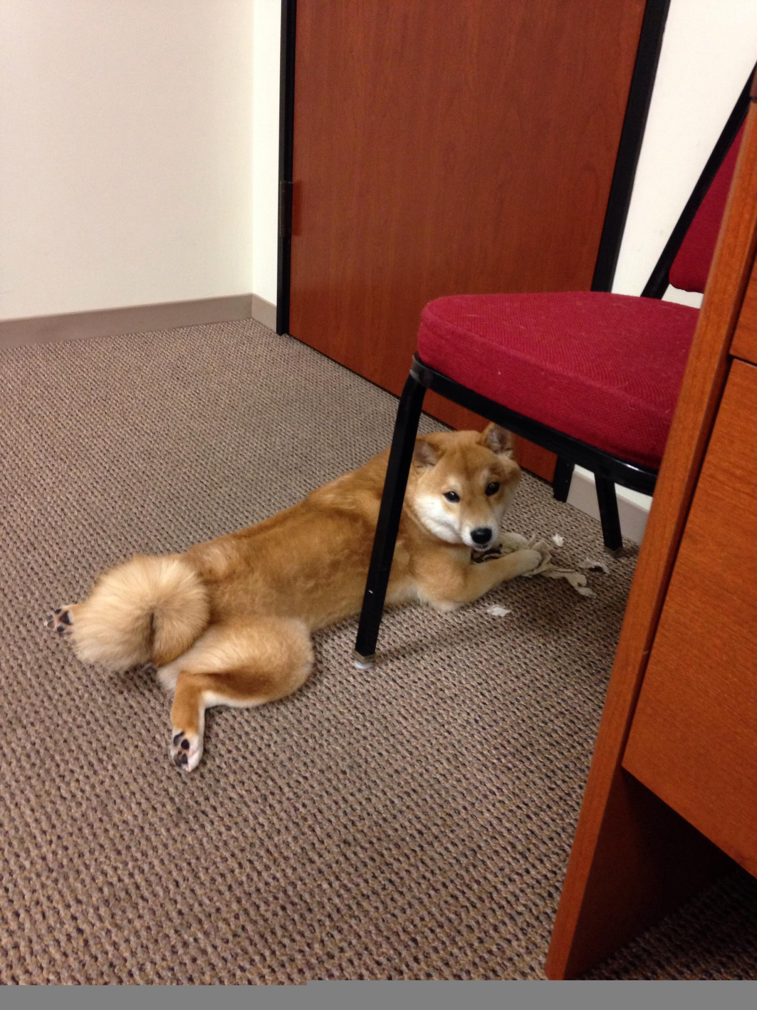 奥运周期关键焦点战,马德里竞技强行终结喀麦隆国奥队