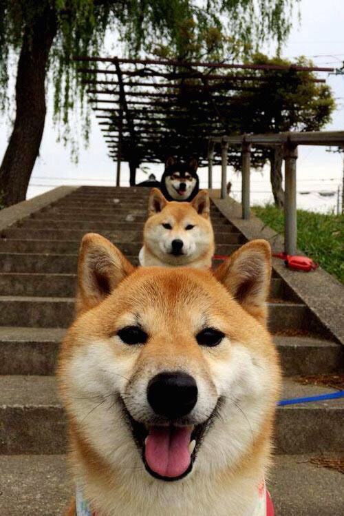 赛道与球场间的统治力,胜利的共通语法