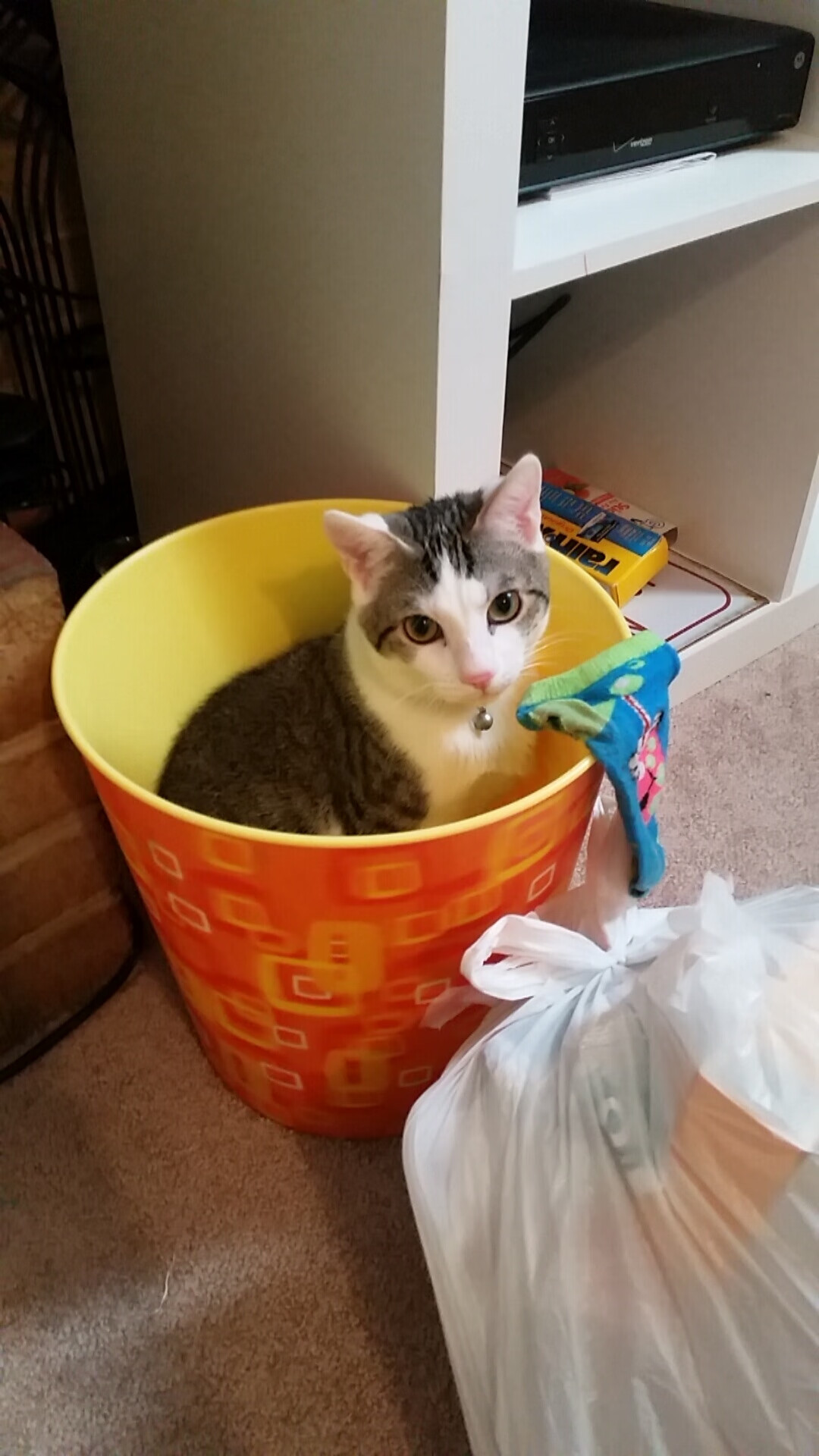 体系碾压球星！李刚仁的闪耀与亚特兰大的胜利揭示足球真谛