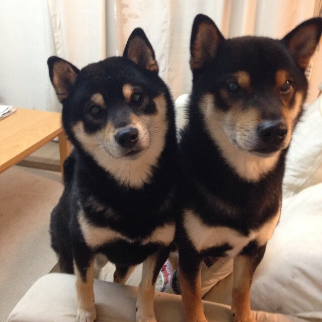 蓝桥的雨，救赎的光