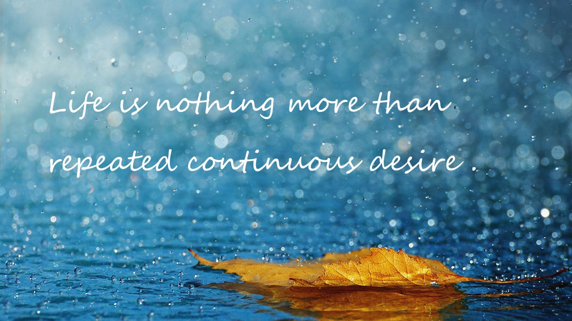 双线争锋，F1揭幕战激战正酣，辽宁队淘汰赛力克黄蜂