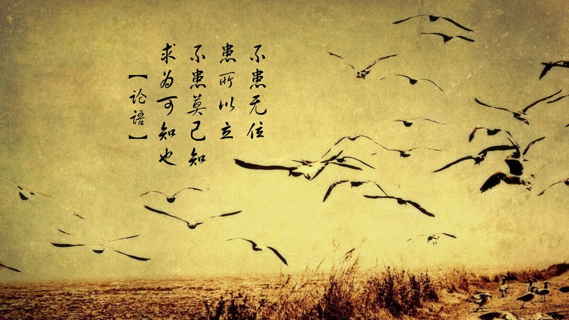 欧冠半决赛之夜，阿圭罗演绎教科书级表现