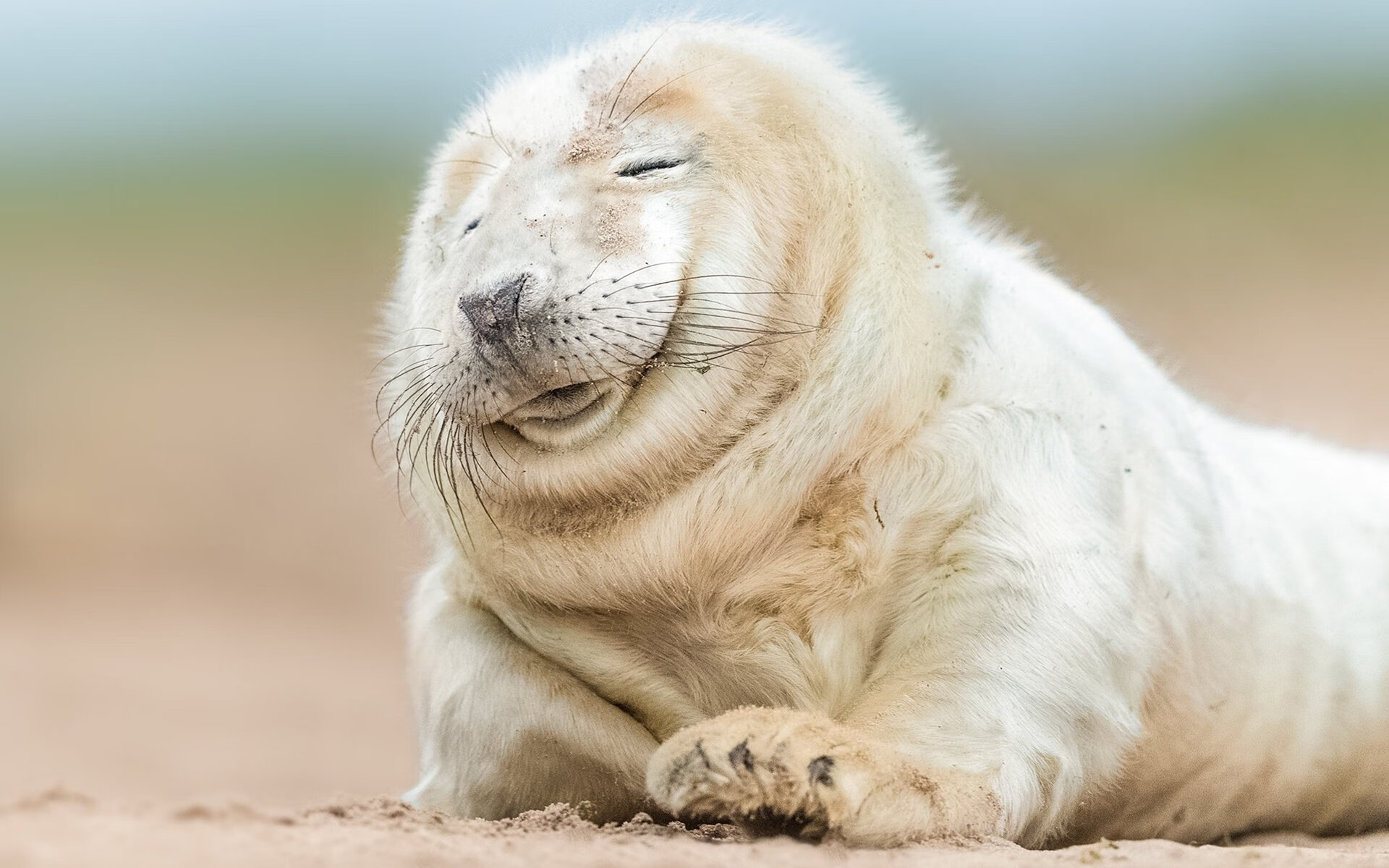 北极光降临绿茵场，当加克波在世界排名争夺战中接管一切