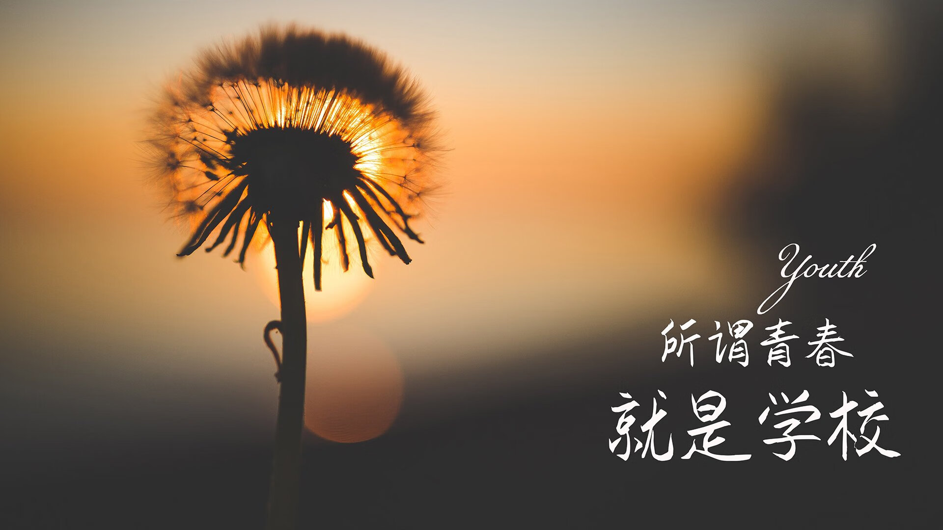 教科书般的演绎,杰伦格林率新疆队鏖战步行者