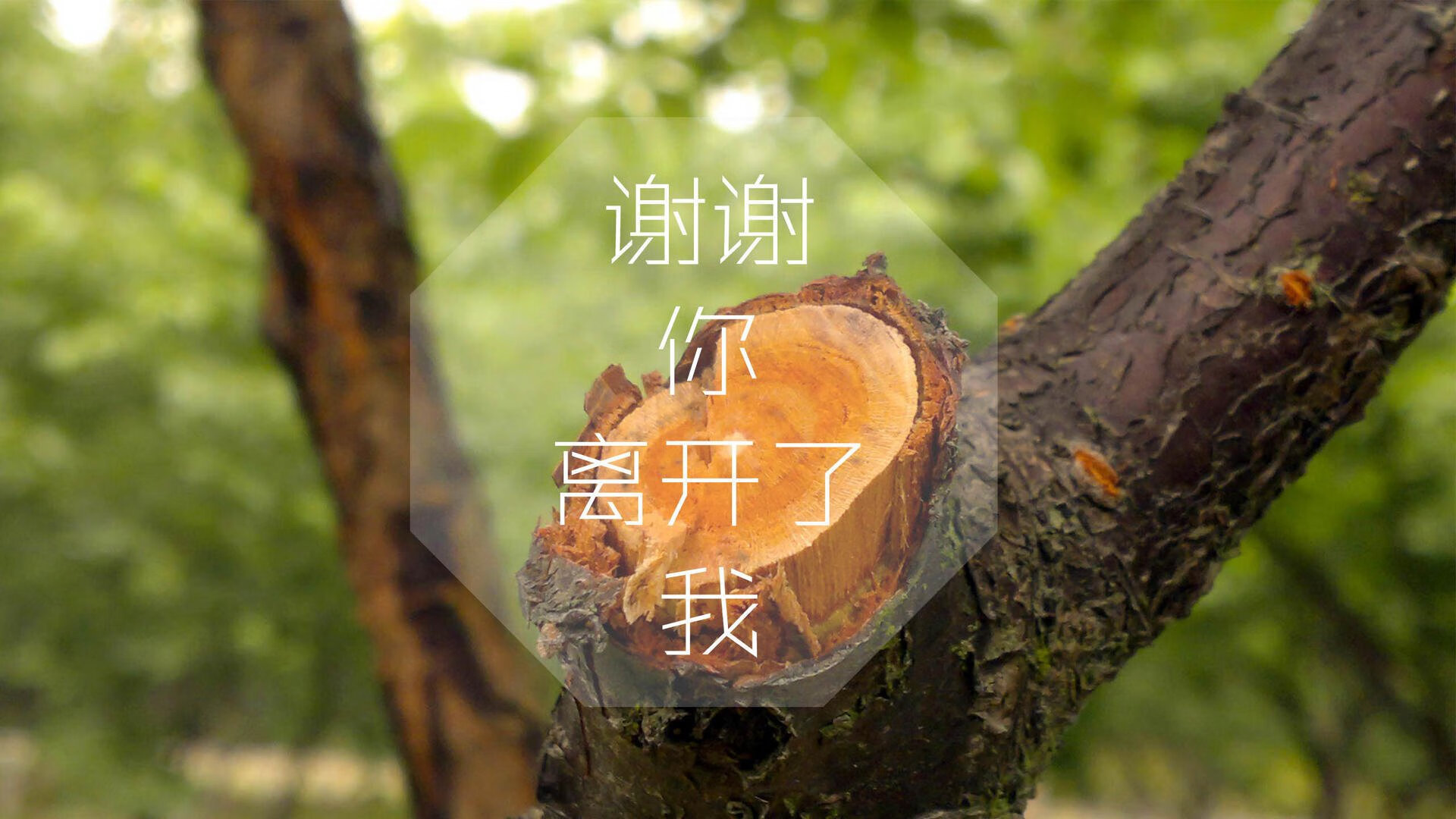 沙漠风暴惊世界，伊拉克绝杀葡萄牙，佩德里一击定乾坤