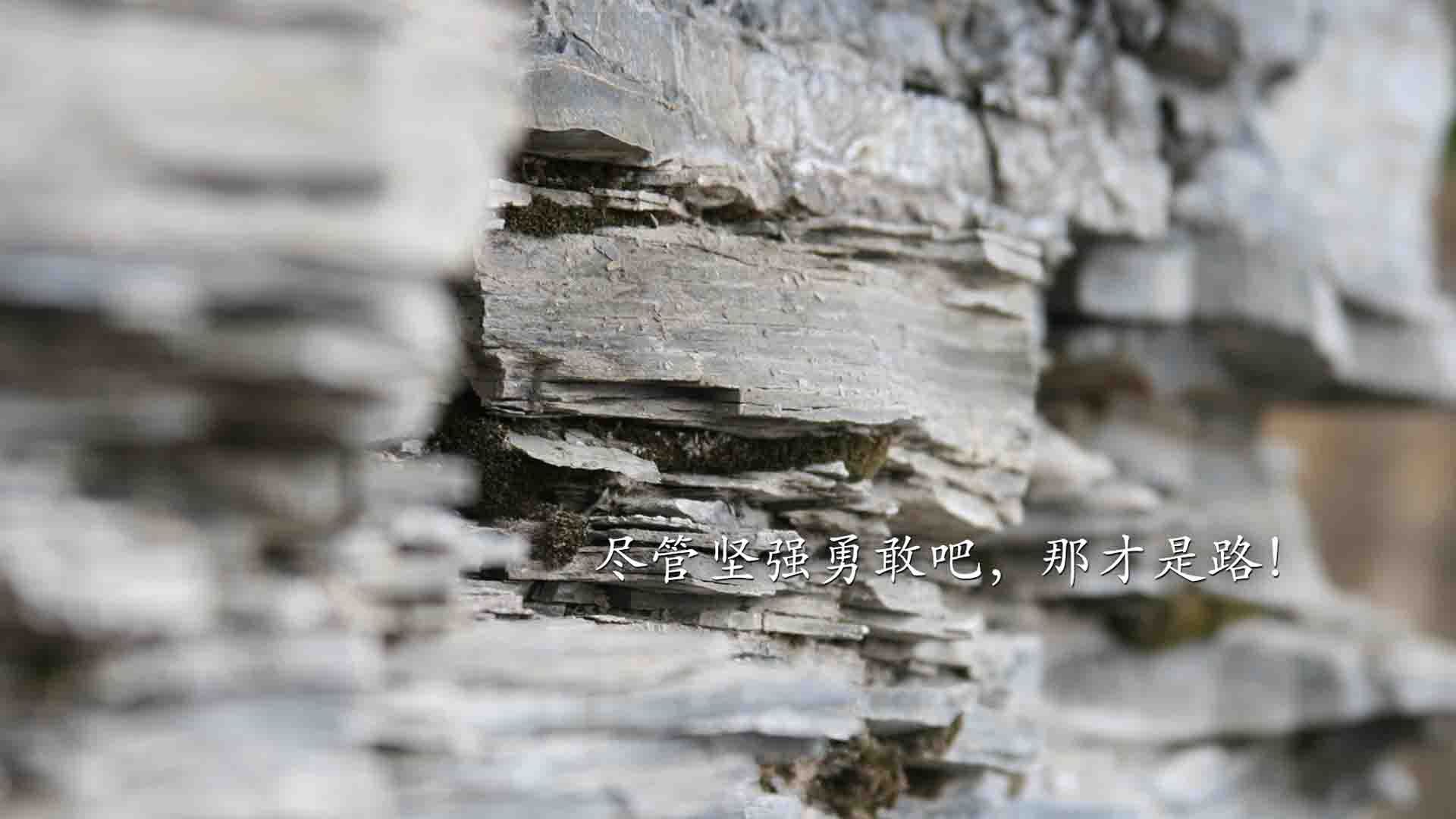 冰与火之歌,2026世界杯半决赛,苏亚雷斯致命一击送美国挺进决赛